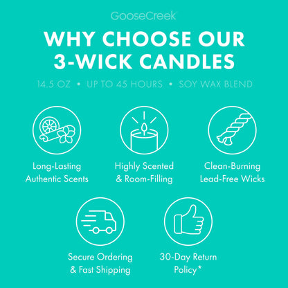 Eucalyptus Mist 3-Wick Candle