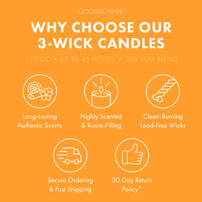 Firefly Fields 3-Wick Candle